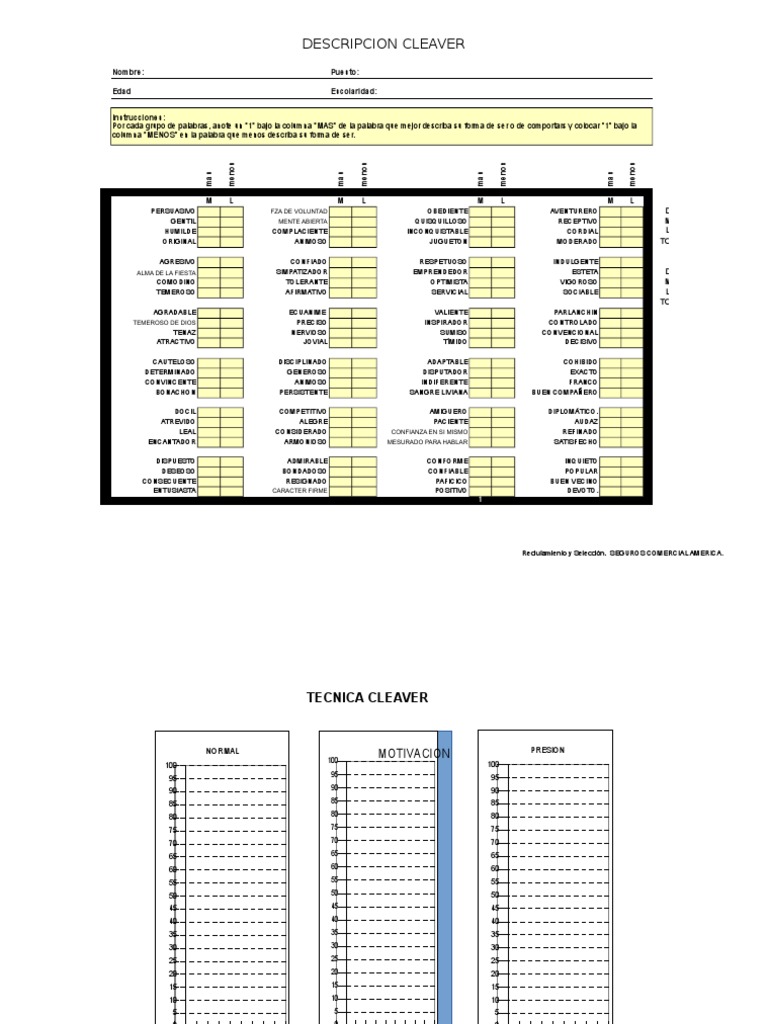 Test Cleaver | PDF