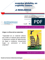 Cinco Acuerdos Globales, Un Propósito Común: La Resiliencia: Henry Adolfo Peralta Buritica