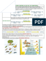TEMA_niveles troficos.pdf