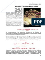 Azúcares.pdf