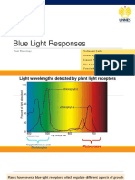 Blue Light Receptors Regulate Plant Growth and Development
