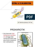 SELUKARIOTIKvsPROKARIOTIK