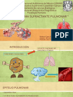 Sistema Surfactante