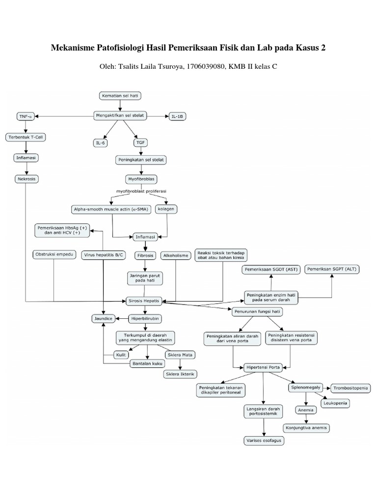 Tsalits Laila Tsuroya MINDMAP Sirosis Hati | PDF
