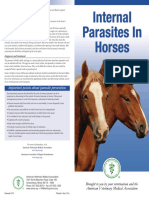 Important Points About Parasite Prevention: Diagnosis and Treatment