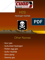 H2SPPP