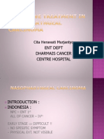 Palliative Treatment in Nasopharyngeal Carcinoma