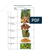 Gambar Bentuk Produksi Tanaman Perkebunan