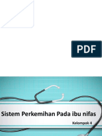 Sistem Perkemihan