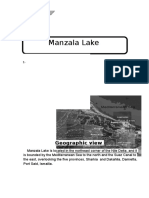 Manzala Lake: Geographic View