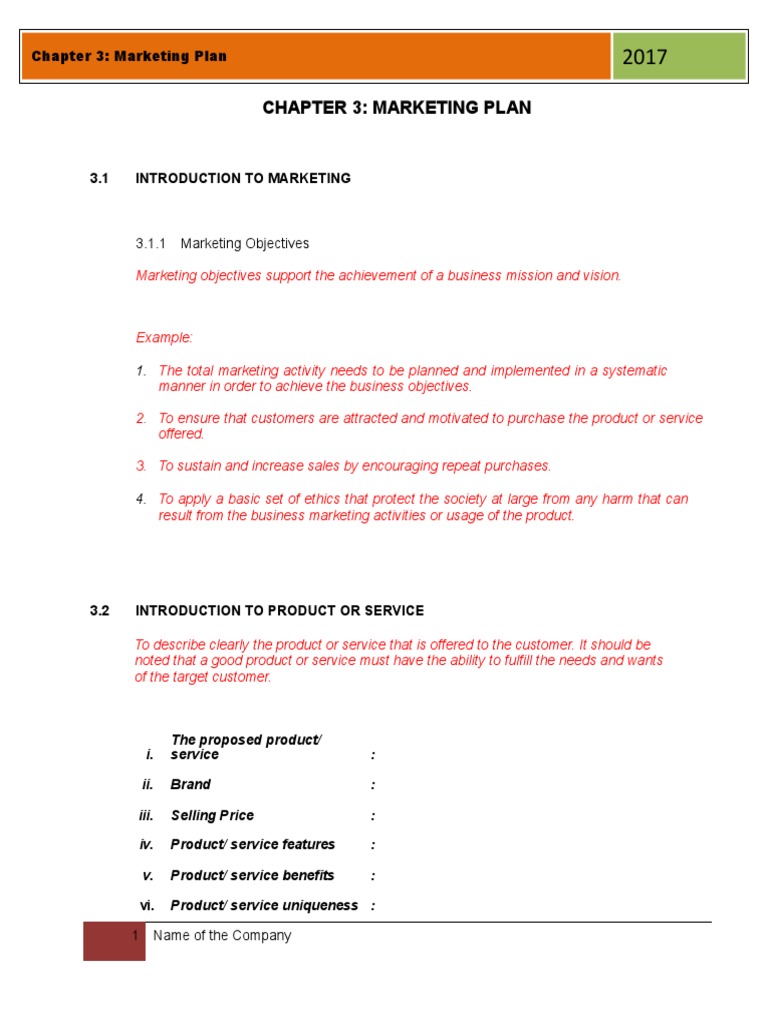 Comprehensive Marketing Plan Overview | PDF | Market Segmentation | Pricing