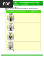 Sheep Pluck Dissection Lab Guide | PDF | Heart Valve | Atrium (Heart)