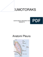 Pneumotoraks by Sonya Andzil