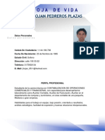 Hoja de Vida PDF