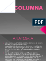 Clase 6 - Columna