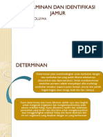 Powerpoint Determinan Dan Identifikasi Jamur