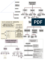 Contaminacion de Suelo Flujo Gramas