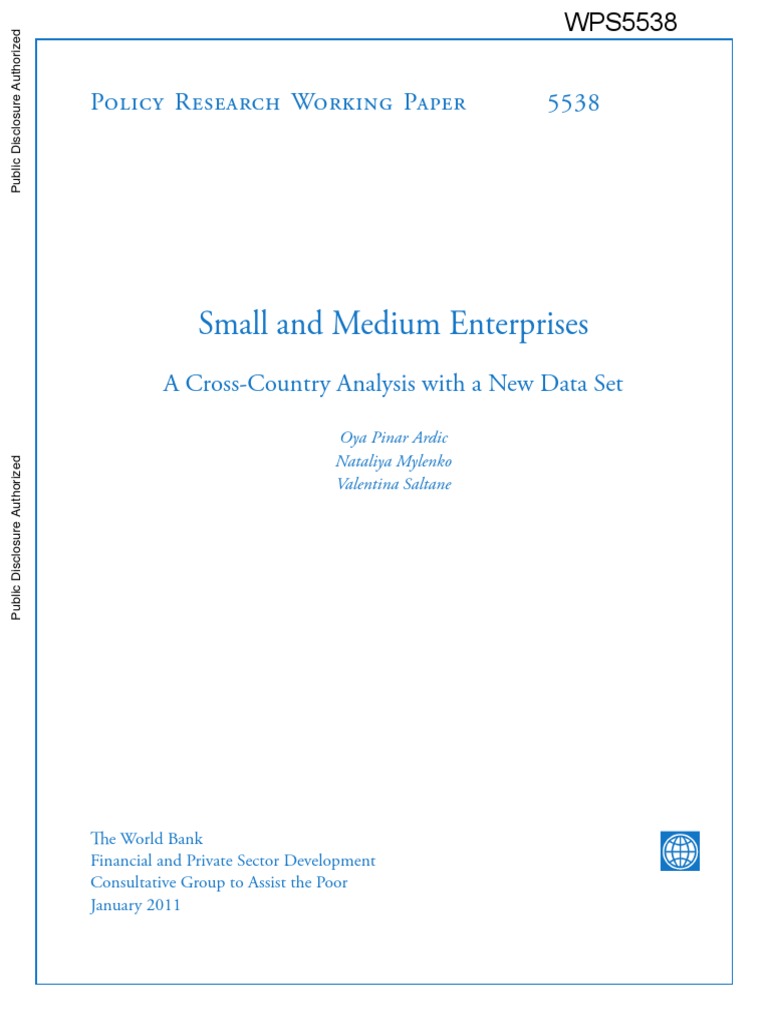 SME Access to Finance Insights | PDF | Small And Medium Sized ...