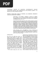 Download classification annlides by azedddine SN43602278 doc pdf