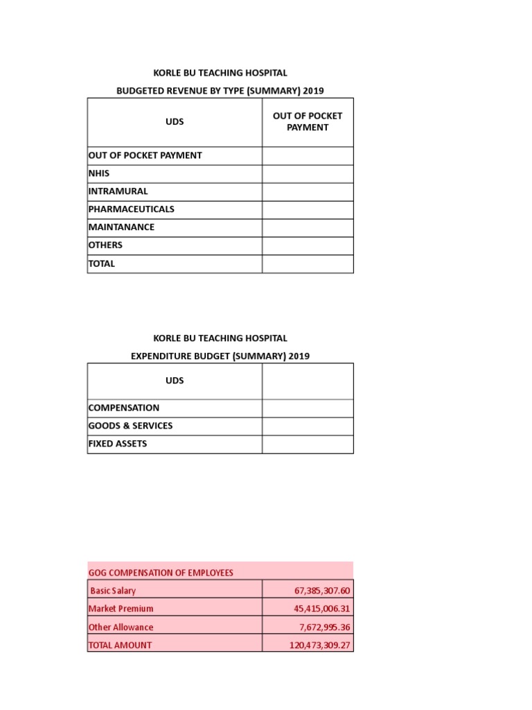 Eye Centre Budget For 2020 | PDF | Amputation | Health Care