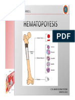 Hematopoyesis 2 Comp 5-10 Lista-1