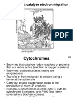 2 - Cytochromes PDF