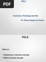 Anatomia e Fisiologia Da Pele