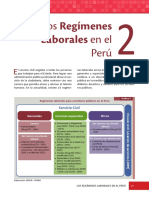 SERVIR - El servicio civil peruano - Cap2.pdf