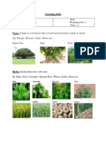 Name: Subject: Science (Notes) Chapter: Plants Date: Worksheet No. 1 Class: 2