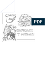 Ficha Decorar Libreta Naturales y Sociales 2019