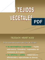 Tejidos Vegetales