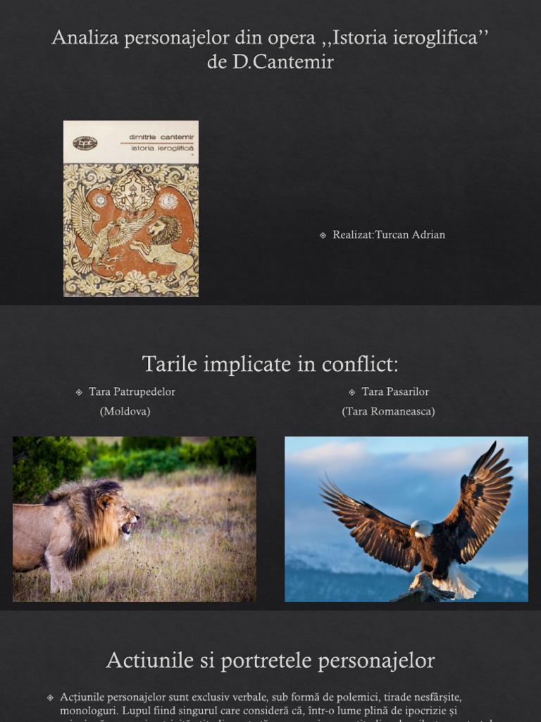 Istoria Ieroglifica | PDF