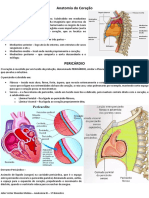 Resumo de Anatomia Digestoria