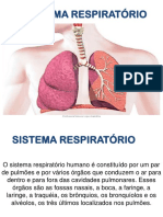 Sistema Respiratório e Patologias