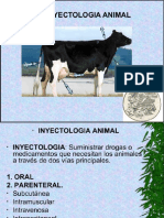 Inyectologia Animal