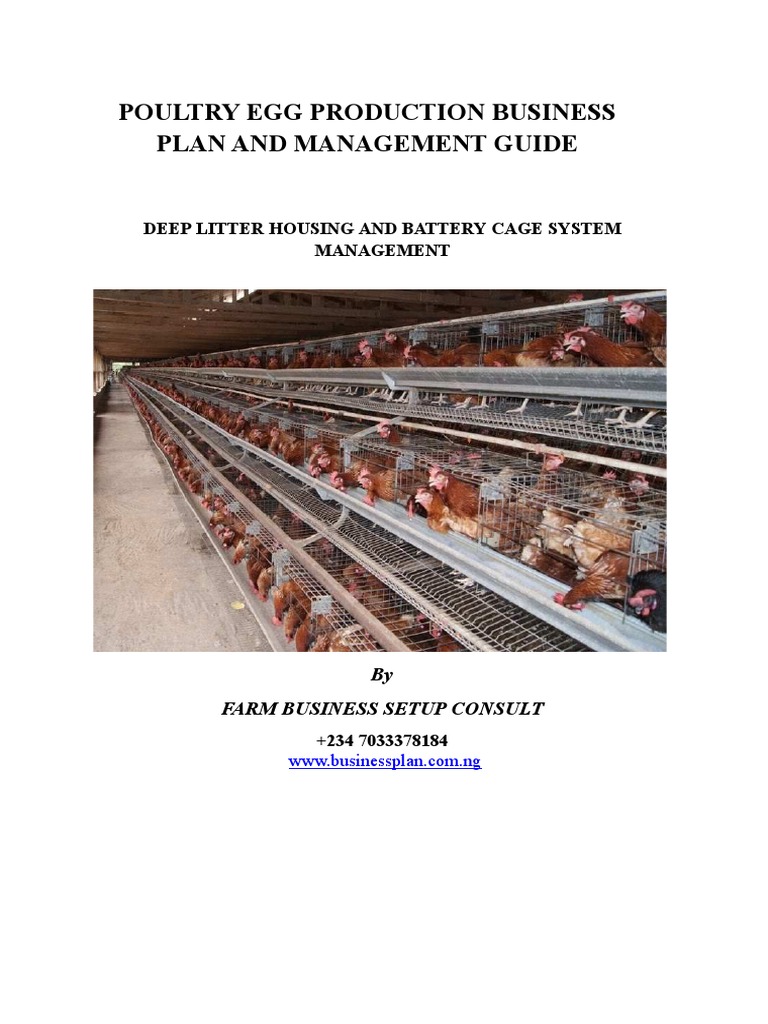 Poultry Egg Production Business Plan and PDF Chicken Poultry Farming