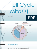 Cell Cycle (Mitosis) : Bolinget, Jonalyn Buasen, Sharleen Canabe, Karen