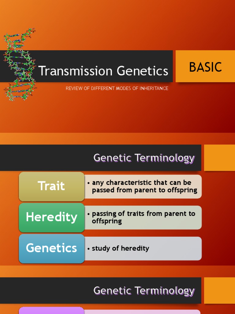 REVIEW Transmission PDF Dominance Zygosity