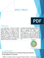 Virus Herpes: Características y Tipos