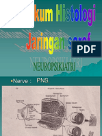 praktikum jaringan saraf