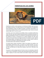 Caracteristicas Del Leon