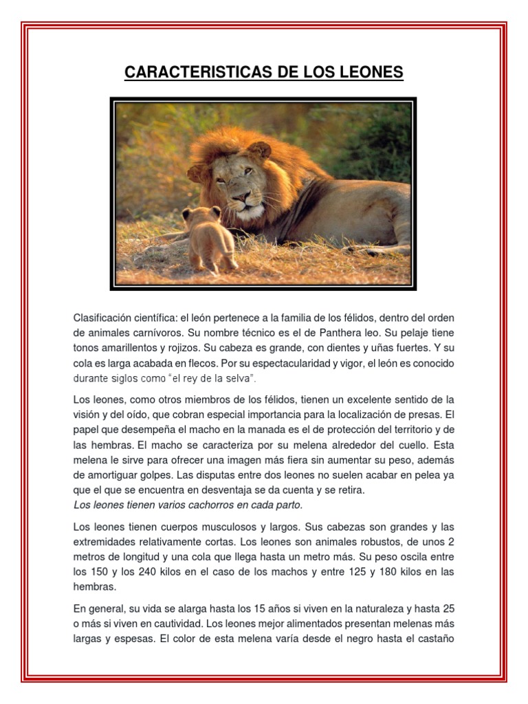 Caracteristicas Del Leon | PDF | León | Tigre