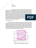 B. Histologi (Grace, Dinda) : 1. Sistem Muskuloskeletal A. Definisi (Afifah)