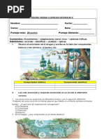 Prueba UNIDAD 4 C. Naturales 4°