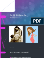 Fase Prenatal