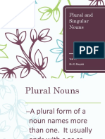 Plural and Singular Nouns: Year 4: Ms RS Megalai