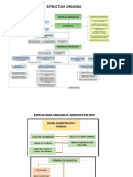 ESTRUCTURA ORGANICA