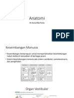 Anatomi Sistem Keseimbangan Manusia