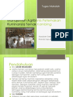 PPT_Manajemen Agribisnis Peternakan Ruminansia Ternak Kambing