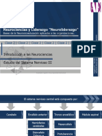 Apunte C - Introduccion Al Estudio Del Sistema Nervioso III